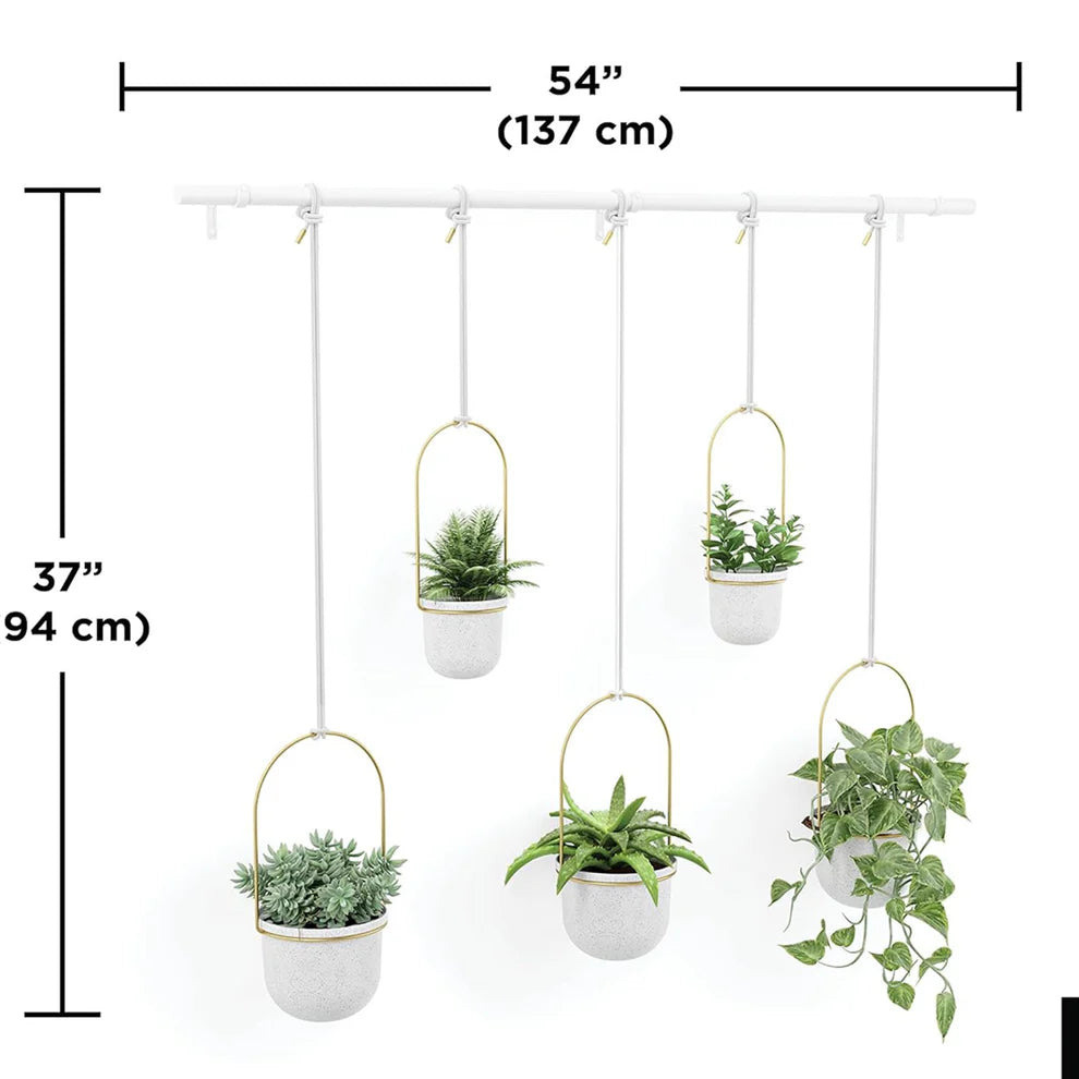 1 Set Expandable & Slide-Out Kitchen Rack with 5 Flower Pots