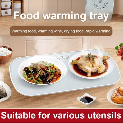 Multifunctional Intelligent Constant Temperature Food Warming Tray