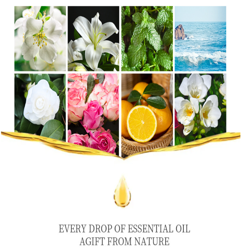 10ml bottled essential oil set